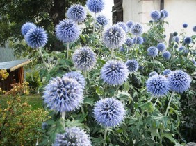 1297 Guarda  12.9.2009