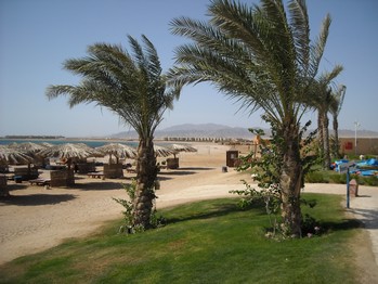 Egypt 2010 0212