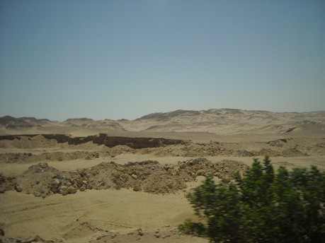 Egypt 2010 0440