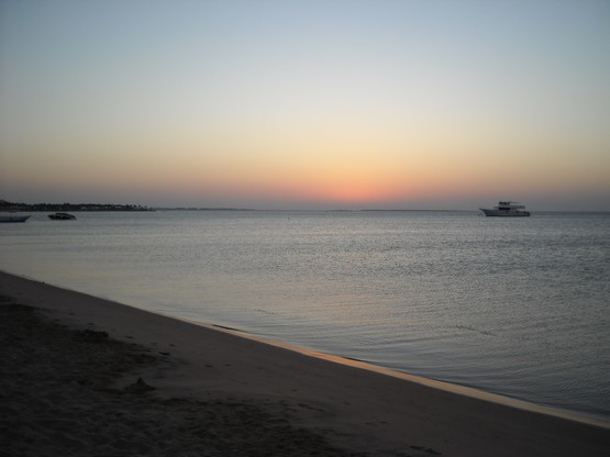 Egypt 2010 0587