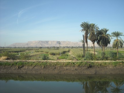 Egypt 2010 0773