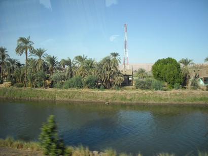 Egypt 2010 0783