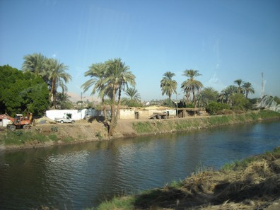 Egypt 2010 0785