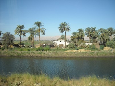 Egypt 2010 0787