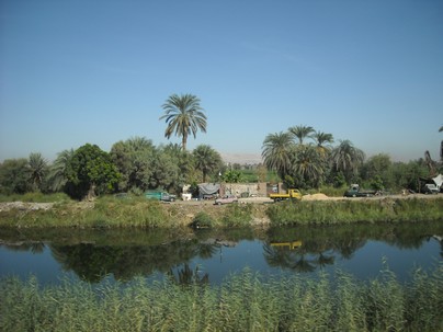 Egypt 2010 0805