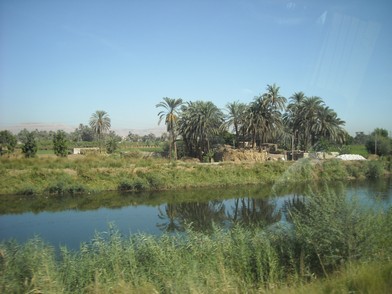 Egypt 2010 0807
