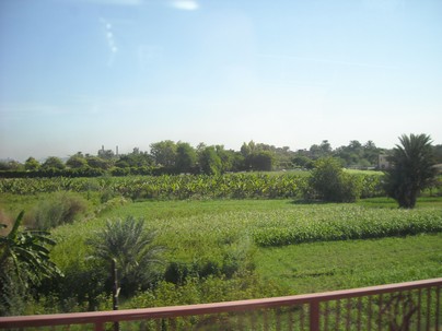 Egypt 2010 0825