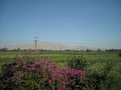 Egypt 2010 0841