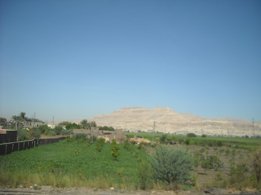 Egypt 2010 0845