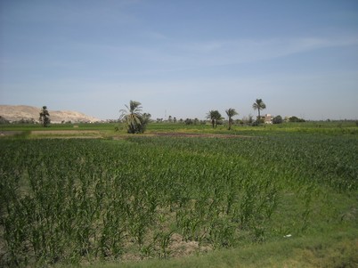 Egypt 2010 0928