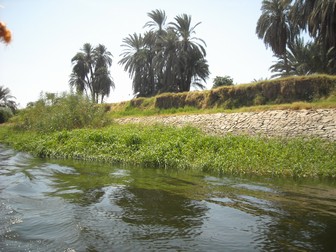 Egypt 2010 0935