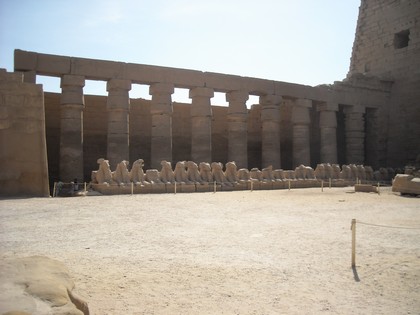 Egypt 2010 0963