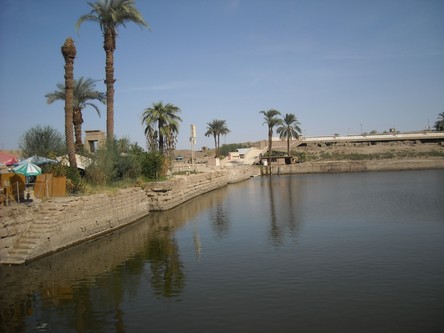 Egypt 2010 0985