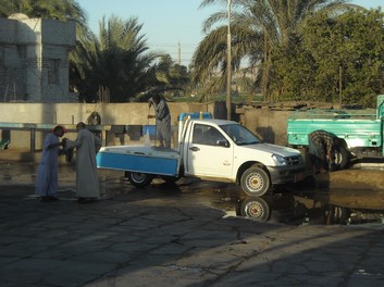 Egypt 2010 1038