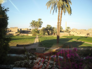 Egypt 2010 1039