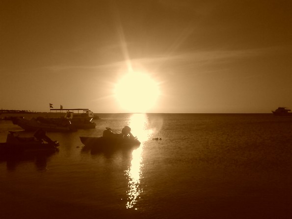 Egypt 2010 1312.3