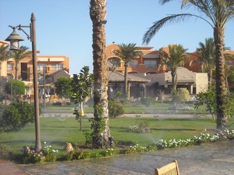 Egypt 2010 1331