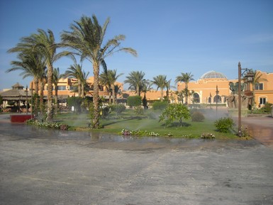 Egypt 2010 1332