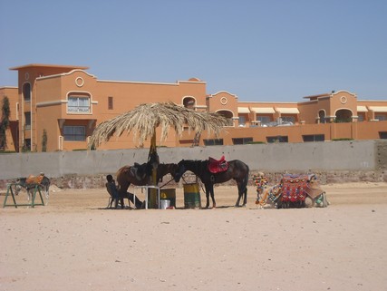 Egypt 2010 1337