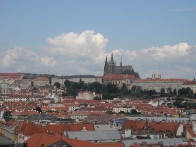 A 102