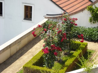 A 186